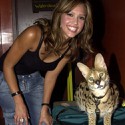 100 Pics Cat Lovers Answers Level 60
