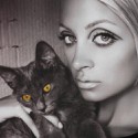 100 Pics Cat Lovers Answers Level 68