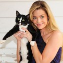 100 Pics Cat Lovers Answers Level 73