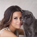 100 Pics Cat Lovers Answers Level 75