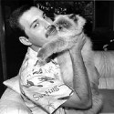 100 Pics Cat Lovers Answers Level 76