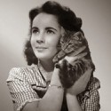 100 Pics Cat Lovers Answers Level 80