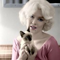 100 Pics Cat Lovers Answers Level 81