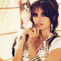 100 Pics Cat Lovers Answers Level 83