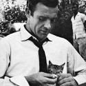 100 Pics Cat Lovers Answers Level 86