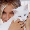 100 Pics Cat Lovers Answers Level 92
