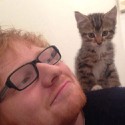100 Pics Cat Lovers Answers Level 93