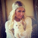 100 Pics Cat Lovers Answers Level 99