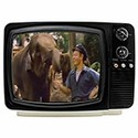 100 Pics Tv Commercials Answers Level 39