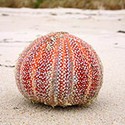 100 Pics U Is For Answers Level 48