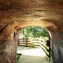 100 Pics Underground Answers Level 11