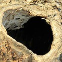 100 Pics Underground Answers Level 68