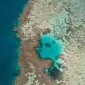 100 Pics Australia Day Quiz Answers Level 43