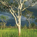 100 Pics Australia Day Quiz Answers Level 52