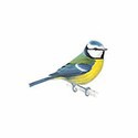100 Pics Birds Answers Level 46