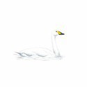 100 Pics Birds Answers Level 75