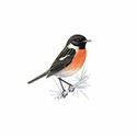 100 Pics Birds Answers Level 79