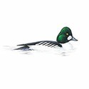 100 Pics Birds Answers Level 81
