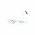 100 Pics Birds Answers Level 97
