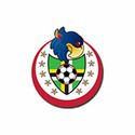 100 Pics Football Logos Answers Level 25