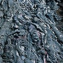 100 Pics I Is For Answers Level 38