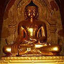 100 Pics I Is For Answers Level 93