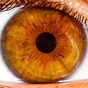 100 Pics I Is For Answers Level 99