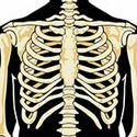 100 Pics New Halloween Answers Level 4