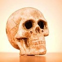 100 Pics New Halloween Answers Level 11