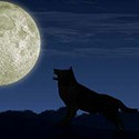 100 Pics New Halloween Answers Level 59