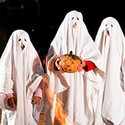 100 Pics New Halloween Answers Level 95