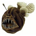 100 Pics Sea Life Answers Level 8