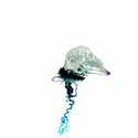 100 Pics Sea Life Answers Level 25