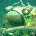 100 Pics Sea Life Answers Level 66
