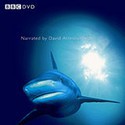 100 Pics Something Blue Answers Level 9