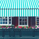 100 Pics Spots Or Stripes Answers Level 9