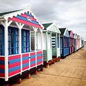 100 Pics Spots Or Stripes Answers Level 30