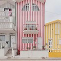 100 Pics Spots Or Stripes Answers Level 36