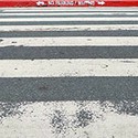 100 Pics Spots Or Stripes Answers Level 40