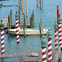 100 Pics Spots Or Stripes Answers Level 50
