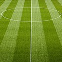 100 Pics Spots Or Stripes Answers Level 60