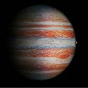 100 Pics Spots Or Stripes Answers Level 65