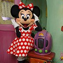 100 Pics Spots Or Stripes Answers Level 72