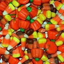 100 Pics Spots Or Stripes Answers Level 99