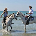 100 Pics Vacation Answers Level 30
