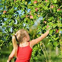 100 Pics Vacation Answers Level 32