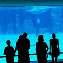 100 Pics Vacation Answers Level 51
